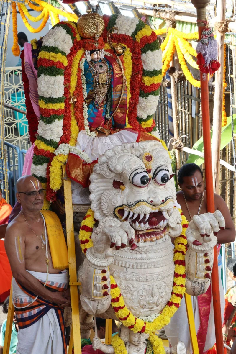 సింహ వాహనంపై శ్రీకోదండరాముడు