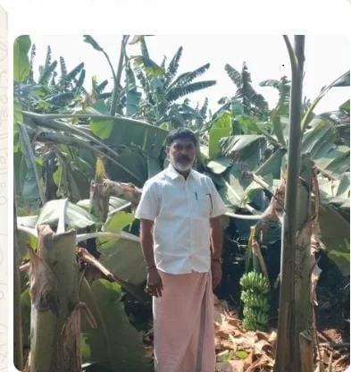 బుధవారం రాత్రి కురిసిన అకాల గాలి వానలు రైతులకు వేల ఎకరాల్లో అరటి తోటలు నేలకొరిగాయి తీవ్ర నష్టాన్ని మిగిల్చాయి